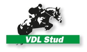 Logo_vdl
