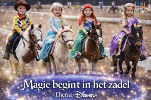 Horse2Fly Competitie